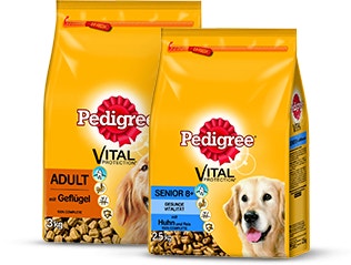 healthy-weighr-teaser