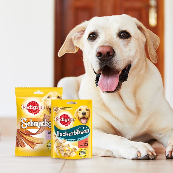 digree-clickertraining