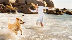 Mit dem Vierbeiner auf Reisen