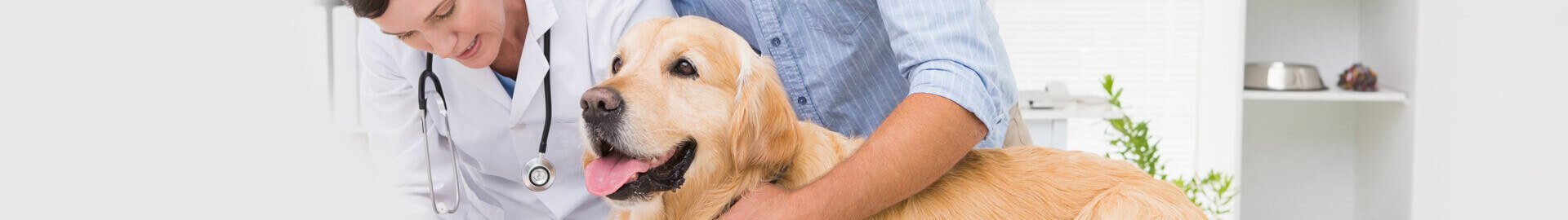 Gesundes Gewichtsmanagement