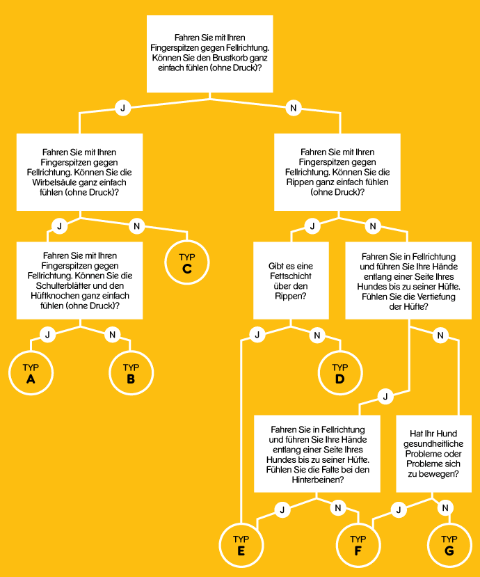 WALTHAM® SHAPE® Guide