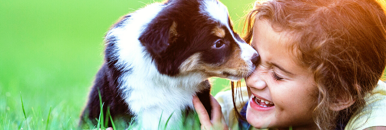 mmc_pedigreeat_sectionimage_wide-3