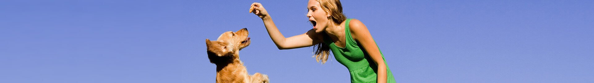 pedigree-header-snacks