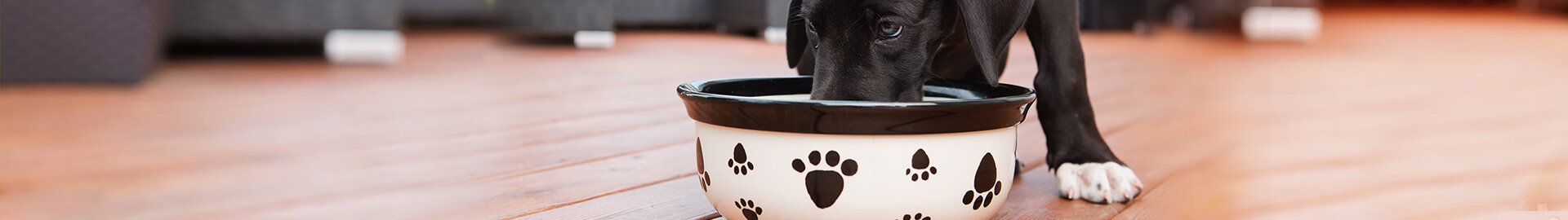 Unser Pedigree® Frischebeutel