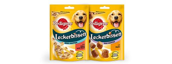 training-teaser1-img